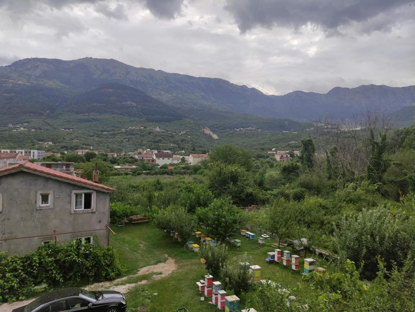 Green Valley Kotor Buitenkant foto